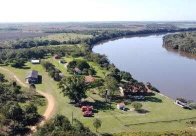 Parque Estadual do Rio Ivinhema lidera ranking nacional em listas de observação de aves
